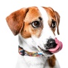 Ошейник для собак Max & Molly Smart ID - Heroes