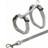 Trixie Junior Harness with Leash Kittty Cat
