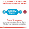 Royal Canin Medium Puppy (Junior)