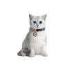 Ошейник для кошек нейлоновый WAUDOG Nylon c QR паспортом, рисунок "Этно синий", пластиковый фастекс.