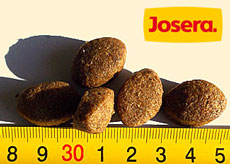 Размер крокет корма для собак Josera Regular Premium Изображение гранул корма Josera Regular на сантиметровой линейке, размер составляет около 1,5 см.