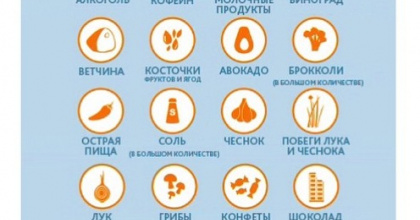 Небезпечні продукти для собак