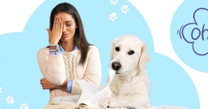 Как выявить, предотвратить и справиться с тревогой разлуки у собак?