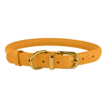 Ошейник для собак круглый кожаный BronzeDog Crazy Голд