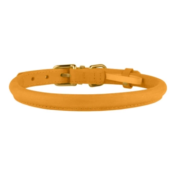 Ошейник для собак круглый кожаный BronzeDog Crazy Голд