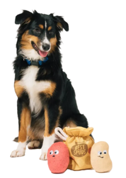 Игрушка для собак Farm Fresh Collection - Bag of Potatoes Pet Play