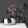 Миска для собак з нержавіючої сталі Cloud7 Dylan Сірий