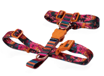 Шлея для собак Zee.Dog Selva