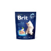 Brit Premium by Nature Cat для котят