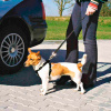 Trixie Car Harness