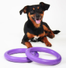 Тренировочный снаряд для собак PULLER Мini Фиолетовый