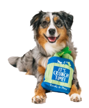 Игрушка для собак Farm Fresh Collection - Celery Bag Pet Play 