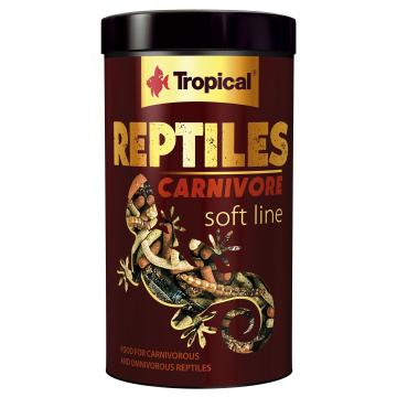 Tropical Reptiles Carnivore Soft