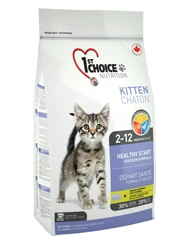 1st Choice Kitten
