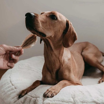 Сушена скумбрія Lila loves it - Mackerels