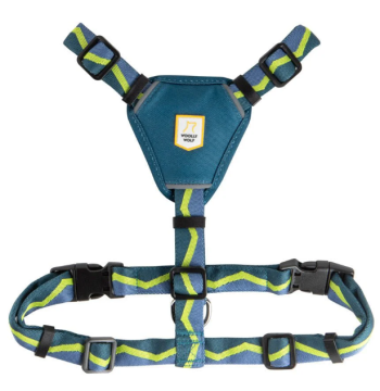 Шлейка Woolly Wolf для собак Horizon Deep Teal Mix Harness