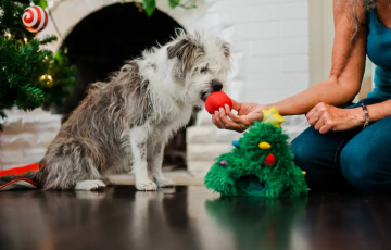 Игрушка для собак Merry Woofmas Doglas Fur Pet Play