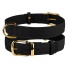 Ошейник для собак кожаный BronzeDog Crazy черный 