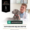 Purina Veterinary Diets EN - Gastroenteric Canine