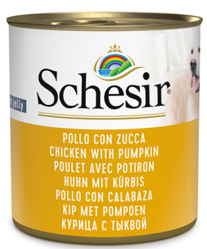 Schesir Chicken With Pumpkin