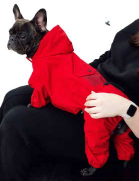 Дождевик DogsBomba карман, красный