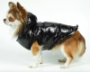 Жилет лакированный DogsBomba черный