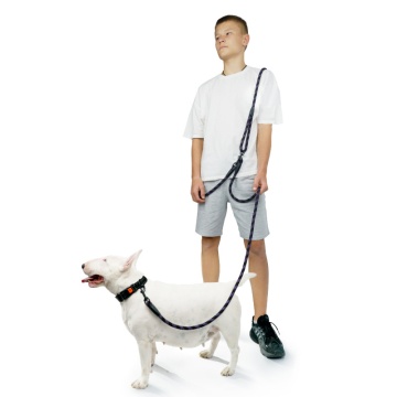 Поводок для Собак Barksi светоотражающий "Свободные руки" Фиолетовый