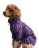 Дождевик DogsBomba кант, фиолет