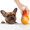 Игрушка для Собак Barksi Голень