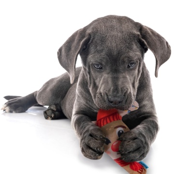 Игрушка для Собак с пищалкой Barksi Олень