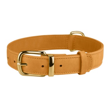 Нашийник для собак шкіряний BronzeDog Crazy голд