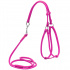 Шлея кругла Collar Glamour N2 з повідцем 90 см 6 мм