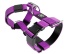 Шлея для собак BullyBillows TRI-Harness v2.0 (Anti-Pull) - Turquoise