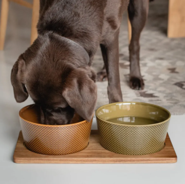 Підставка під миски для собак Cloud7 Wooden Station Alain Коричневий