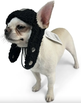 Шапка DogsBomba Авиатор тедди чорная