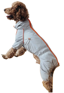 Дождевик DogsBomba кант, серый