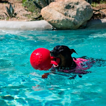 Jolly Pets Tun-N-Toss Small Гиря для собак, 16 см