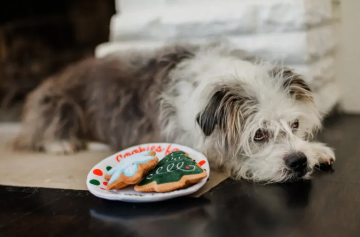 Игрушка для собак Merry Woofmas Christmas Eve Cookies Pet Play