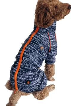 Дождевик DogsBomba кант, рябой