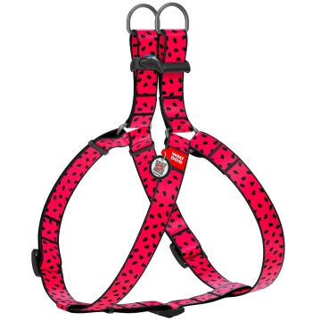 Шлея Waudog Nylon з малюнком Кавун