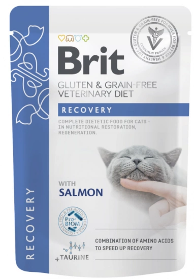 Brit GF VD Recovery с лососем
