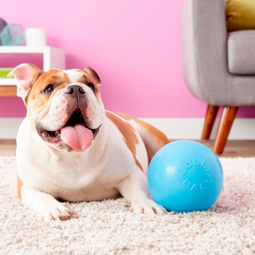 Jolly Pets Bounce-n-Play Small