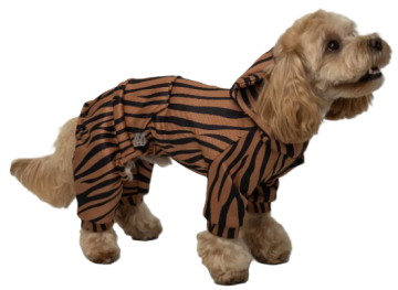 Костюм Dogs Bomba с карманом, зебра