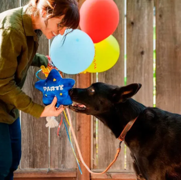 Игрушка для собак Party Time Collection - Best Day Balloon Pet Play
