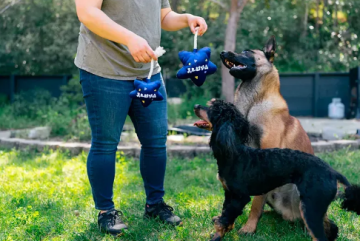 Игрушка для собак Party Time Collection - Best Day Balloon Pet Play