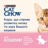 Cat Chow Kitten Chicken для котят с курицей