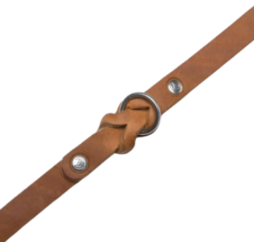 Ошейник для собак Cloud7 Riverside Park Рыжий