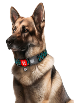 Нашийник для котів та собак нейлоновий WAUDOG Nylon з QR адресником, малюнок "Луска", пластиковий фастекс