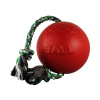 Jolly Pets Romp-N-Roll М'яч із канатом для собак, 22 см