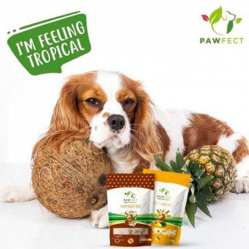 Ласощі для собак Pawfect кокос - Nature's Munch Treats